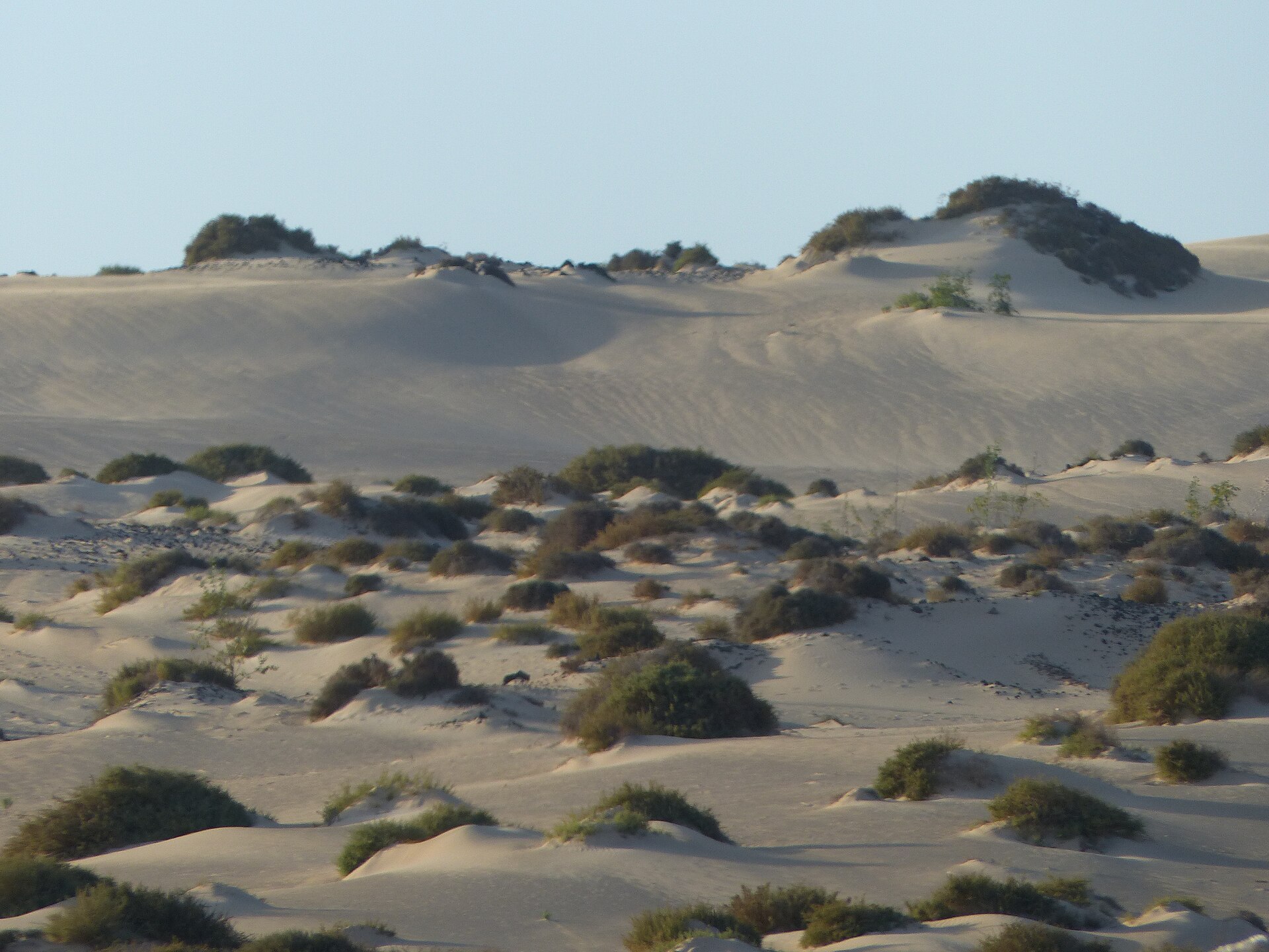 Dunas de Corralejo, en el norte de Fuerteventura
